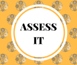 5pt ASSESS IT